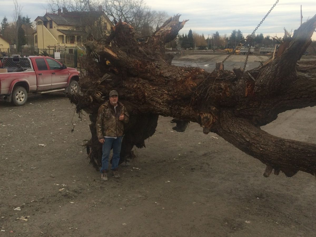 Tree Kept for Reach Child and Youth Development Society Project